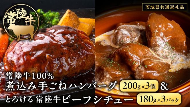 y錧vsz헤100 ύ 育 no[O 600gi 200g × 3pbNjƂ낯 헤 r[tV`[ 540gi 180g ×3pbNjy錧ʕԗiz јa a   gg Ⓚ  ȒP V`[  [FE023us]