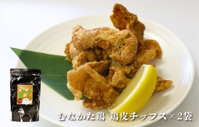 むなかた鶏　鶏づくしセット（計1.3kg）【道の駅むなかた】_HA1837
