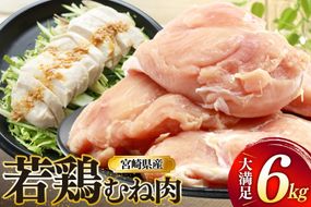 鶏肉 むね肉 若鶏 鶏むね肉 6kg [ミヤケイフード 宮崎県 美郷町 31bp0017] 鶏むね 鶏胸 むね 冷凍 小分け