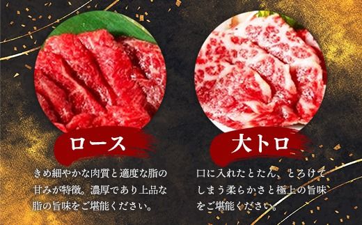 国産６種馬刺し食べ比べセット（宴）【熊本と畜】 - 馬肉 馬刺 上赤身 霜降り 大トロ たてがみ ふたえご ロース おつまみ 晩酌 冷凍 ブロック 醤油付き 国産 国内産 熊本県 甲佐町