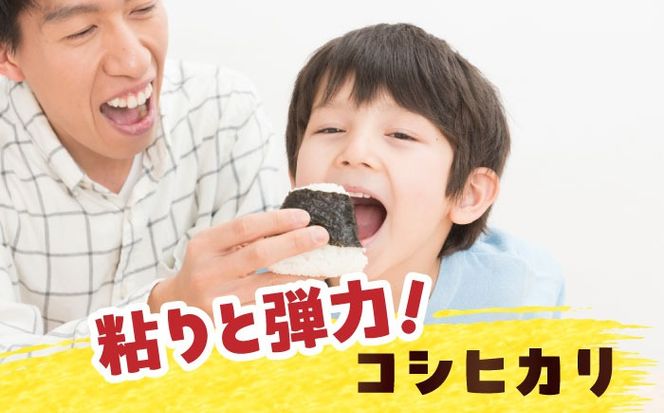 【6回定期便】特別栽培米　コシヒカリ　玄米　5kg　お米　ご飯　愛西市／株式会社戸倉トラクター[AECS032]