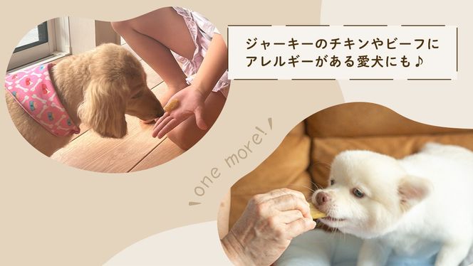 【 塚田商店 】 犬用 干し芋 シロタ 100g × 8袋 ドックフード ペットフード 犬 国産 無添加 さつまいも 芋 おやつ 和菓子 いも イモ 工場直送 [BD032ci]