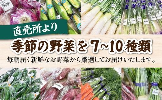 《価格改定》新鮮 旬の野菜セット 7～10品目 京都 佐伯の里 京都丹波・亀岡産 季節の野菜詰め合わせ 朝採れ 直送 訳あり 家計応援 生活応援 お試し《価格改定10000円→8000円》 ※北海道・沖縄・離島への配送不可