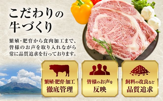 北さつま牛 リブロースブロック　K137-009