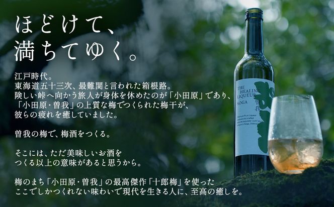 【小田原・曽我の最高傑作「十郎梅」使用梅酒】THE HEALING LIQUEUR SOGA 142069_JN001
