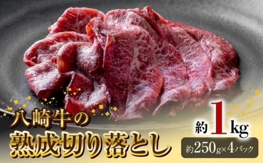 y{茧sz苍̏n؂藎Ƃ1kg N0105-YA944