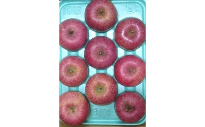 【2026年12月発送】サンふじ 訳あり家庭用 約5kg 12～23玉 りんご 果物 訳あり 信州 長野