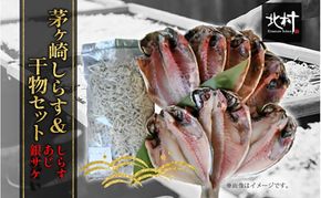 茅ヶ崎 しらす 干物 セット しらす  300g あじ 5枚 銀サケ 4枚 とれたて 網元 船 茹で上げ ゆでる 天日干し 白 透明 湘南 相模湾 朝獲れ  食卓 干物しらす丼 ポン酢 卵 海 漁 湯切り おつまみ お酒 冷凍 神奈川県 茅ケ崎市