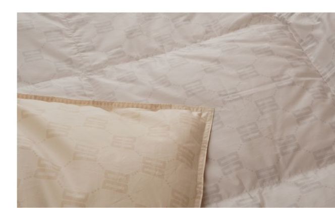 シングルサイズ羽毛肌掛けふとん　ダックス　DK521122Ｌ-3　寝具　布団　ふとん　羽毛　ダウン　羽毛布団　羽毛ふとん　ダウン布団　ダウンふとん　肌掛け　肌かけ　肌がけ