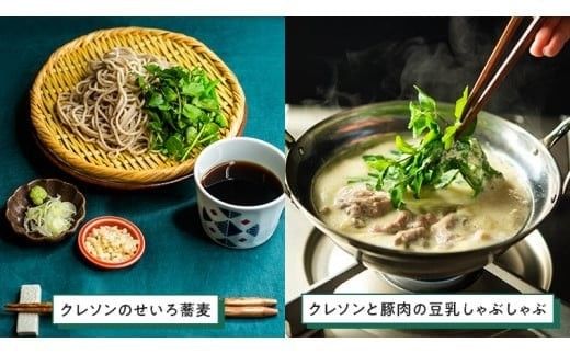 みくにクレソン100g×10袋 美容 健康 野菜 スーパーフード クレソン [CY003ci]