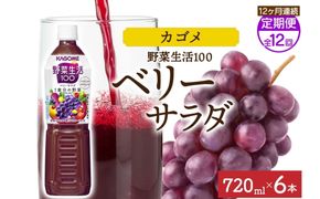 ns038-077　【定期便】12ヵ月連続野菜生活100 ベリーサラダ 720mlPET