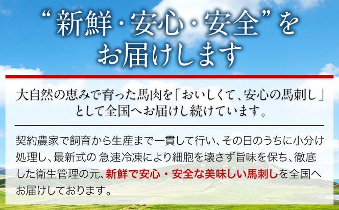 国産上赤身馬刺し 400g 南阿蘇L（阿蘇牧場） 醤油4袋《60日以内に出荷予定(土日祝除く)》---sms_fmfjakb_60d_25_17000_400g---