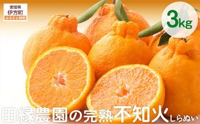 【先行予約】【数量限定】田縁農園の完熟不知火（しらぬい）3kg ※離島への配送不可 （2026年3月20日より順次発送） IKTA019