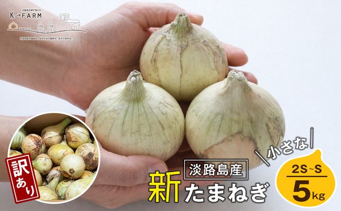 【訳あり】【新玉ねぎ】小さな淡路島たまねぎ 2S～Sサイズ 5kg　玉ねぎ 産地直送 玉ねぎ