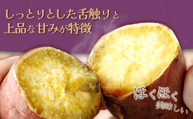 【先行予約】数量限定 掘りたて！あま〜い 新さつまいも 紅まさり 2.5kg 芋 さつま芋 野菜 サツマイモ 焼き芋 甘い スイートポテト 旬 やさい 家庭用 rk029!