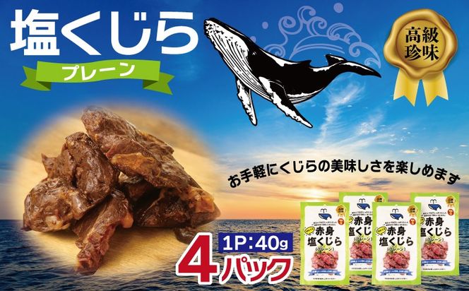 005A745 塩くじら プレーン 40g×4P【鯨 クジラ 鯨肉 赤身 おつまみ 珍味】