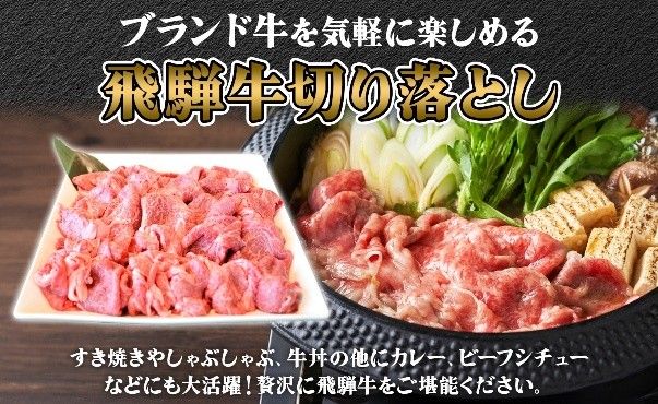 飛騨牛切り落とし約1kg（約500g×2）