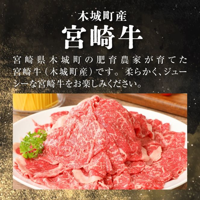 ＜宮崎牛　和牛　切り落とし1kg＞ K01_0011_1