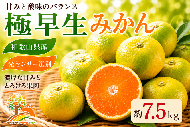 【先行予約】こだわりの極早生みかん 約7.5kg 農家直送 有機質肥料100% サイズ混合 ｜ みかん 極早生 早生 柑橘 果物 くだもの 果実 フルーツ 和歌山 有田