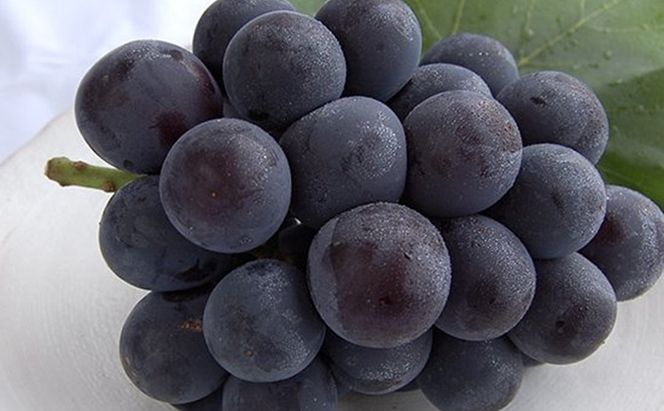 桃 ぶどう 2026年 先行予約 白桃 5玉 合計約1.5kg（1玉 約300g） ニューピオーネ 1房 550g 詰合せ もも モモ 葡萄 ブドウ ピオーネ 岡山県産 国産 フルーツ 果物 ギフト 桃茂実苑 