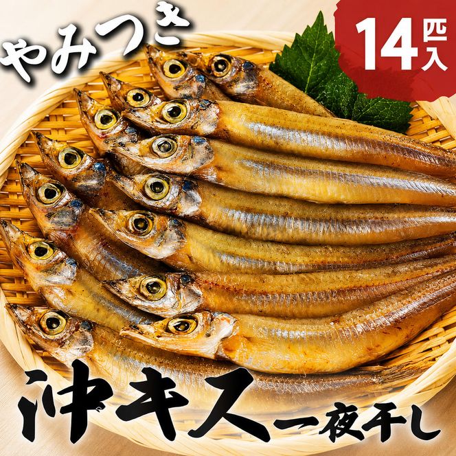 ふっくら柔らかい沖キスの一夜干し 14匹入 日本海 沖キス キス 一夜干し 干物 魚 ひもの おつまみ 日本酒 肴 珍味 ご飯のお供 魚貝類  myz02 myz11 myz17