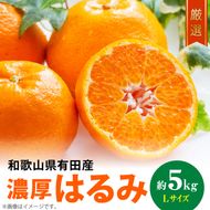 和歌山有田の濃厚 はるみ 5kg (Lサイズ)【ハルミ 春見 ミカン 蜜柑 柑橘 和歌山 有田】_AB6047n