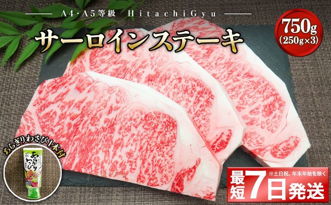 K2421 <最短7日発送> 常陸牛A5等級 サーロインステーキ750g (250g×3枚) あらぎりわさび1本付