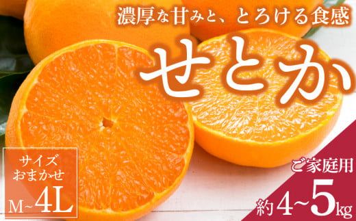 ZD7003_【2027年先行予約】一度は食べていただきたい 有田産のせとか 【訳あり 家庭用】 4kg～5kg (サイズおまかせ)