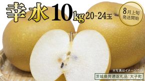 幸水 約10kg (20～24玉)【2026年8月上旬発送開始】(茨城県共通返礼品：大子町) 梨 なし 果物 くだもの フルーツ