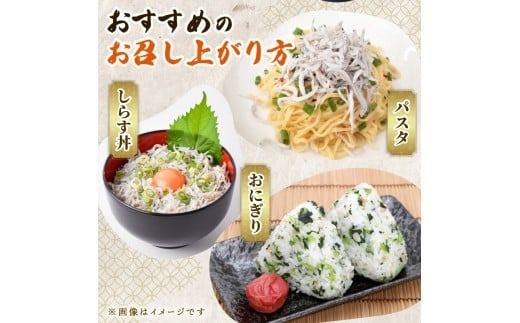 訳あり 釜揚げ しらす 400g 500g 800g 1kg 2kg 減塩 無着色 冷凍 高知県 安芸市 ご飯 ごはん 丼 料理 国産 シラス しらす しらすごはん シラスパスタ sirasu shirasu 松村海産 シラス 人気 おすすめ シラス しらす しらすごはん shirasu sirasu SIRASU 人気シラス
