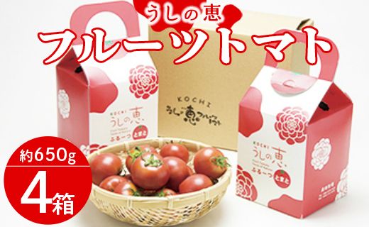 うしの恵 フルーツトマト4箱(650g×4) - 野菜 フルーツ トマト ギフト 料理 アレンジ サラダ 完熟 リコピン 甘い あまい フレッシュ さっぱり 酸味 プチギフト 贈答 お礼 御礼 美味しい おいしい 国産 高知県 香南市 mj-0032