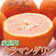 ［先行予約］家庭用 カラマンダリン2.5kg+250g（傷み補償分）［南津海・なつみ］［希少な春柑橘］［わけあり・訳あり］［みかんと同じように食べられます］［IKE68］ 303446_BB97315