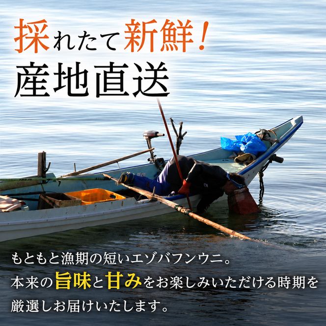 北海道 礼文島産 採れたて ミョウバン不使用 エゾバフンウニ 塩水パック 100g×1個［株式会社やまじょう］【 うに ウニ 雲丹 生うに 塩水うに バフンウニ 滅菌海水 海鮮 うに丼 濃厚 甘み 】