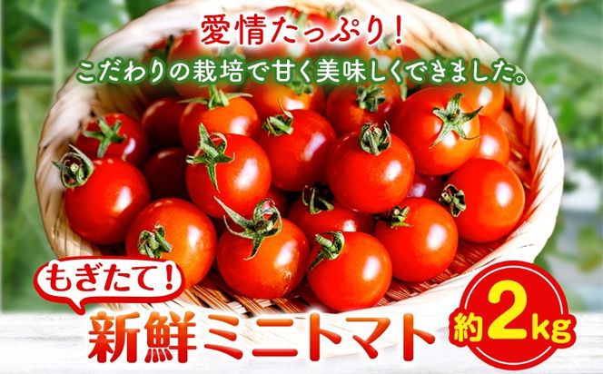 yR|z~jg}g 2kg o_ s1{-5oׁt R |  ~jg}g  VN---osy_iktmt_af15_24_14000_2---