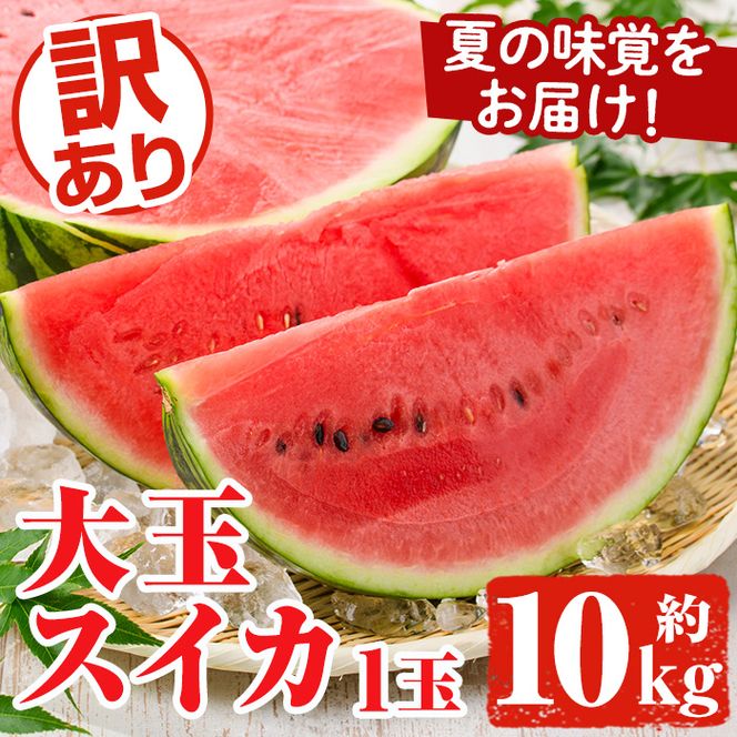 ＜先行予約受付中！2026年6月中旬以降順次発送予定＞追記訳あり！鹿児島県産 大玉スイカ(1玉・約10kg) 国産 果物 スイカ すいか 西瓜 フルーツ スイーツ スムージー ジュース【松永青果】akn053-21