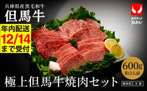 希少部位入り！極上但馬牛 焼肉セット 3種盛り【ロース モモ 希少部位1種 合計600g】牛肉 焼肉 セット 焼き肉 お肉 牛 肉 但馬牛 黒毛和牛 霜降り【但馬ビーフはまだ】【12/14までの受注分年内発送】