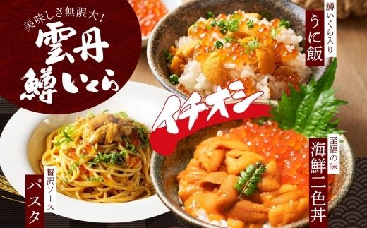 2940. うに チリ産 冷凍 200g 鱒いくら醤油漬け 200g 計400g セット ウニ 雲丹 ますいくら 鱒 イクラ いくら いくら醤油漬け 海鮮 海鮮丼 送料無料 北海道 弟子屈町