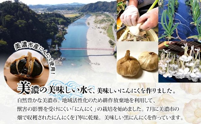うだつの町 美濃の黒にんにく180g×4袋 黒にんにく 黒ニンニク にんにく ニンニク 加工食品 健康 熟成 甘い フルーティー まろやか うまみ 乾燥 凝縮 国産 送料無料 にわか茶屋 岐阜県 美濃市