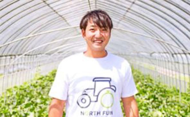 【2026年夏発送】富良野産 ヒグマのごちそう(すいか)[1玉 5L以上 9kg以上/玉] スイカ 果物