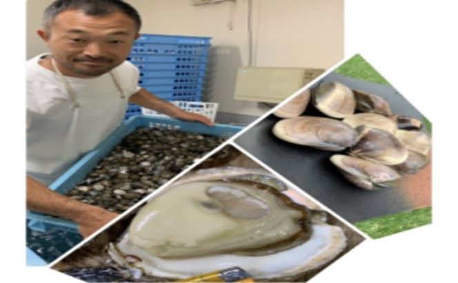 大漁盛りがお得うま味が濃い純白出汁の天然”ゼンナ”冷凍（蛤小）10kg入り 魚貝類 旨み 濃厚な出汁 天然はまぐり 身が厚い 甘み 貝 海の幸 海鮮 国産 九十九里浜産 