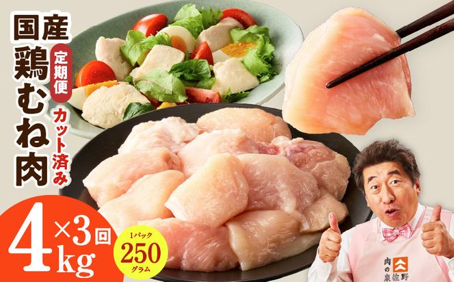 mrzZ100 【カット済み】国産 鶏むね肉 定期便 4kg  全3回【氷温熟成×極味付け 小分け 250g×16P 鶏肉 とり 簡単調理 唐揚げ 親子丼 冷凍】