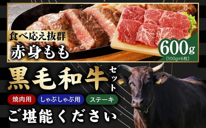 mrz0504 【氷温熟成×極味付け】黒毛和牛セット  合計3kg【小分け 焼肉 しゃぶしゃぶ ステーキ 簡単調理 BBQ 牛肉 黒毛和牛 味付き】