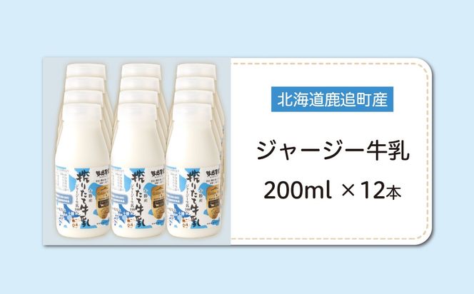 ジャージー牛乳 200ml ×12 SKM054