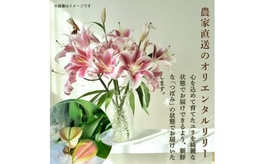 ユリ オリエンタルリリー 選べる 5本 7本 10回定期便 花 花束 お花 ゆり プレゼント 贈答 ギフト 贈り物 誕生日 お祝い 母の日 父の日 供花 献花 お見舞い 植物 インテリア 季節限定 定期 つぼみ 大輪 ピンク 白 福田園芸 メッセージカード 高級 切り花 香り ブーケ ウェディング エレガント 優美 安芸市 高知県