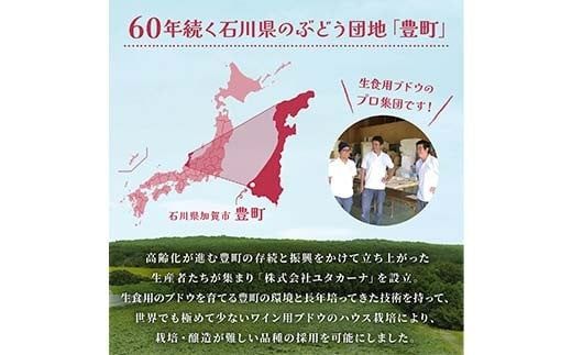 飲みやすいロゼスパークリングワイン ユタカーナ（750ml）2本 ぶどう ブドウ 葡萄 お酒 アルコール飲料 ピノ・ノワール ソーヴィニヨン・ブラン ロゼ F6P-3164