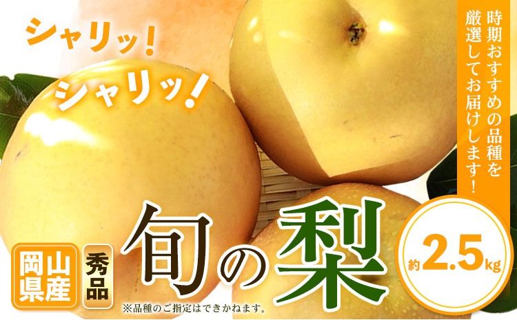 [先行予約]秀品 岡山県産 旬の 梨 約2.5kg 2~6玉前後 梨 秀品 新高 愛宕 スイーツ フルーツ デザート 旬 岡山県 笠岡市[9月上旬-1月末頃に出荷予定]---kasaoka_zsy_47_25---