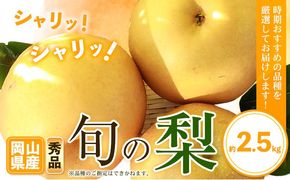 【先行予約】秀品 岡山県産 旬の 梨 約2.5kg 2~6玉前後 梨 秀品 新高 愛宕 スイーツ フルーツ デザート 旬 岡山県 笠岡市《9月上旬-1月末頃に出荷予定》---kasaoka_zsy_47_25---