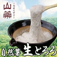 109-3240　自然薯の味をお楽しみください。自然薯生とろろ100ｇ×10ｐセット【とろろ 極上とろろ 山芋 お家用 家庭用 国産 セット商品 自然薯 神奈川県 小田原市 】