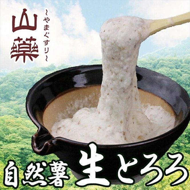 109-3240　自然薯の味をお楽しみください。自然薯生とろろ100ｇ×10ｐセット【とろろ 極上とろろ 山芋 お家用 家庭用 国産 セット商品 自然薯 神奈川県 小田原市 】