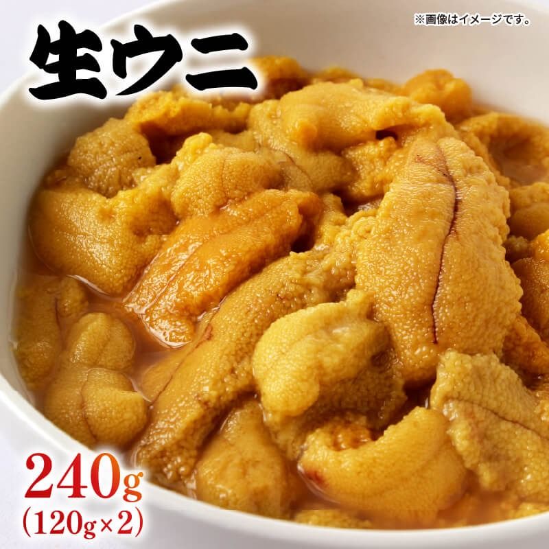 生ウニ 240g (120g×2) 冷蔵 無添加 ミョウバン不使用 ムラサキウニ 季節限定 生うに 生雲丹 天然 海鮮丼 寿司 ウニ丼 刺身 岩手県産 [shida001_1]